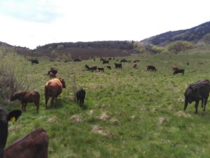 float:left; vertical-align: middle; display: inline-block;